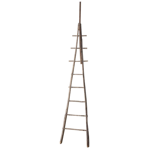 Antique French Orchard Ladder