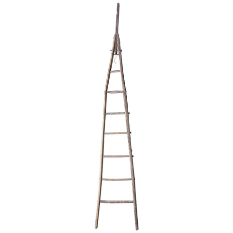 Antique French Orchard Ladder