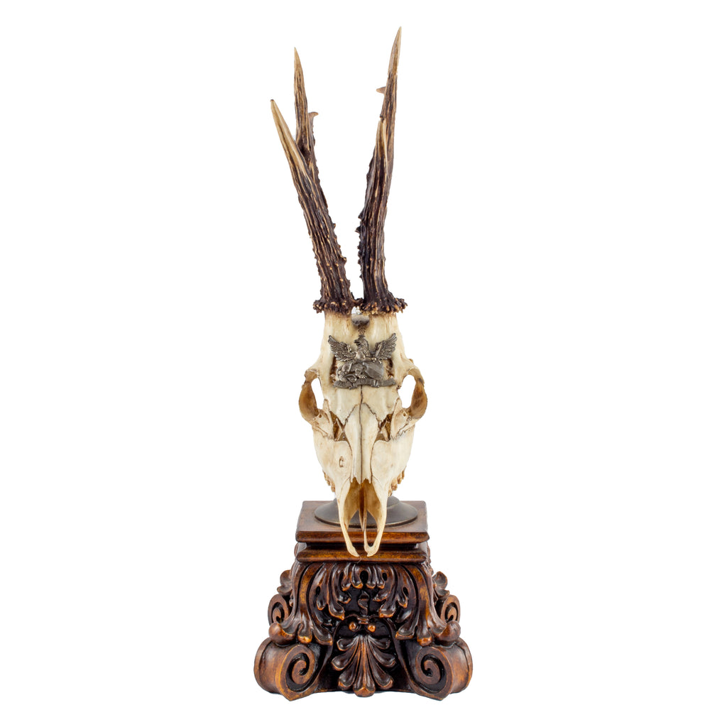 19th Century Roe Deer Trophy from the Grand Dukes of Baden on Stand