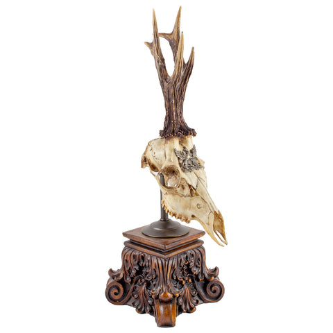 19th Century Roe Deer Trophy from the Grand Dukes of Baden on Stand