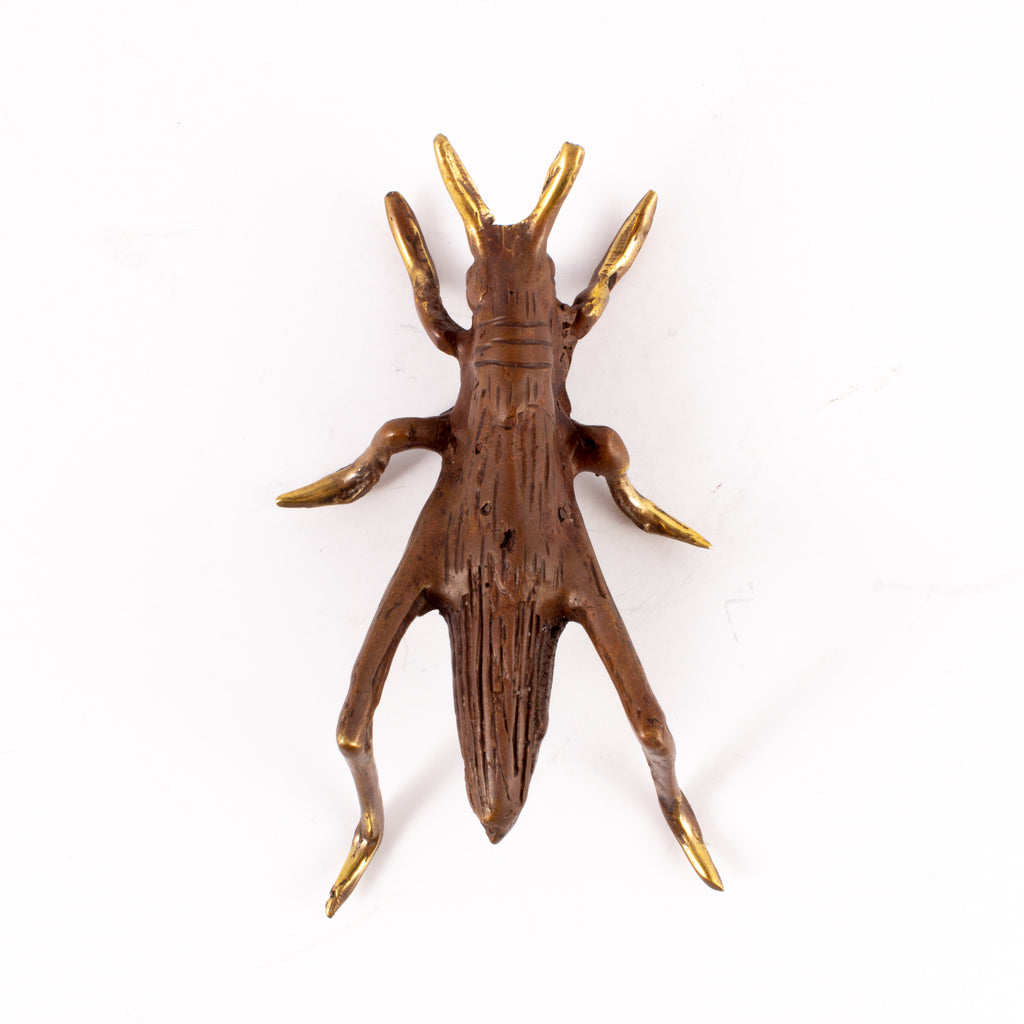 Small Mid-Century Brass Insect