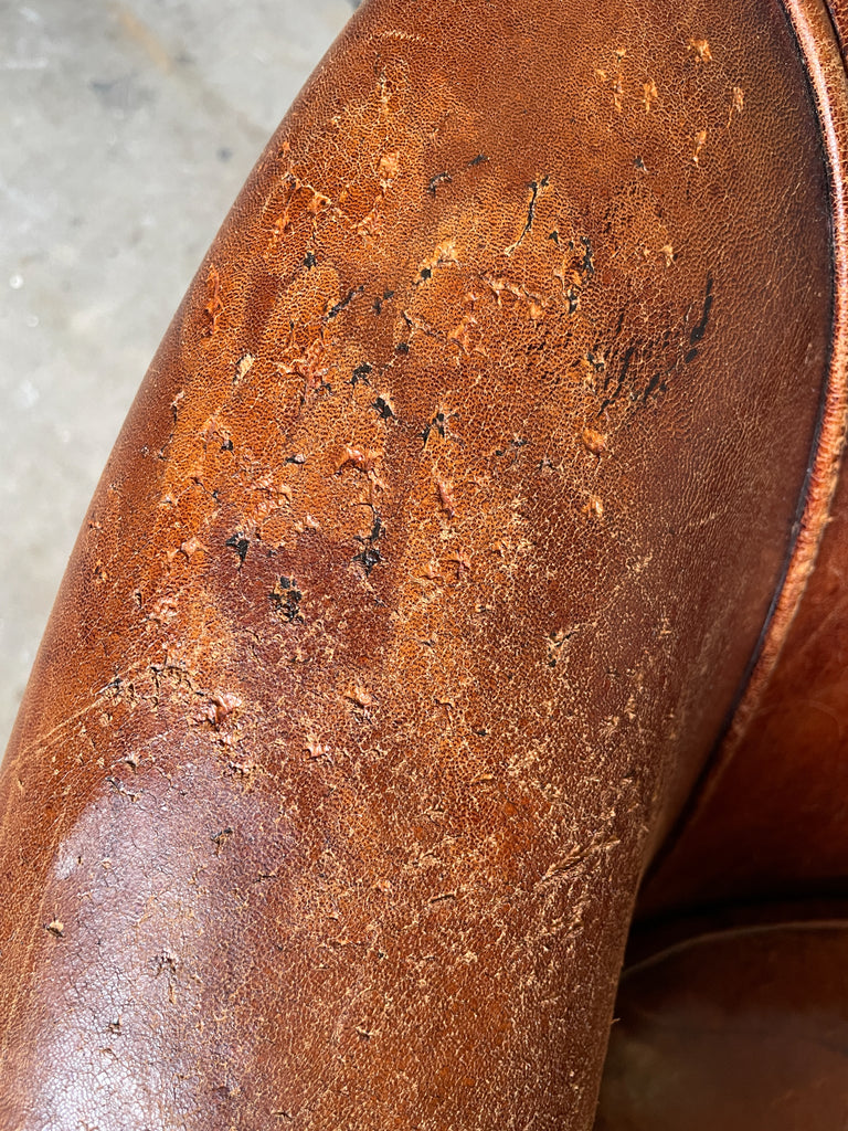 Vintage European Leather Tub Chair with Brass Nailhead Detail