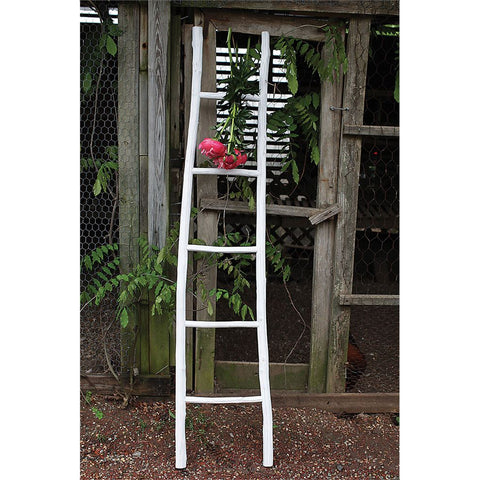 Decorative Wood Ladder in White